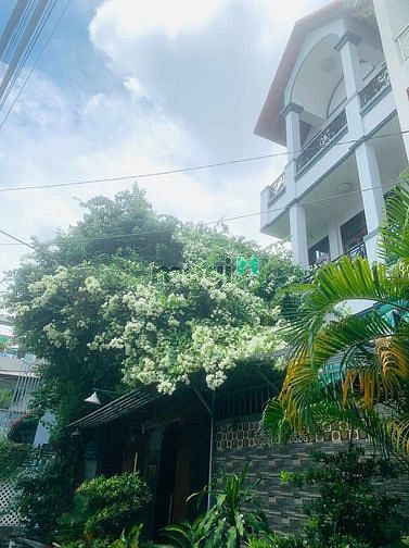 Hình ảnh Biệt thự 5 tầng 750 m2 sử dụng,  28 tỷ TL