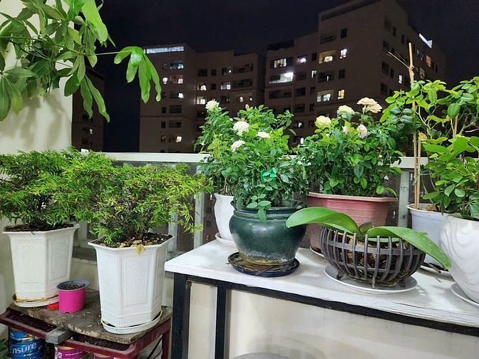 Hình ảnh Bán nhanh Căn góc Tecco Town Bình Tân -71m2 - 2pn 2wc - full nt cao cấ