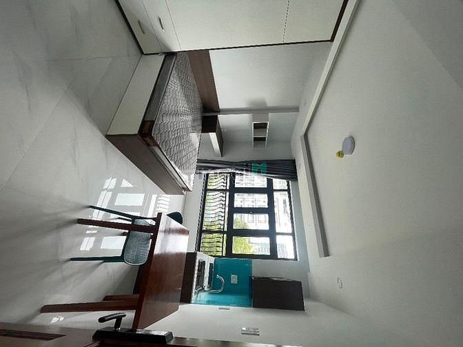 Hình ảnh Khai trương-CHDV-Ngay đảo kim cương
