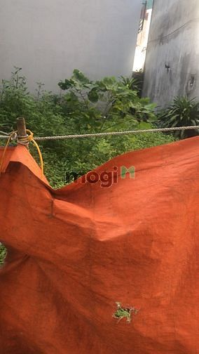 Hình ảnh Hiếm!mảnh đất còn sót lại phố Thạch Bàn Long Biên giá 55tr/m2