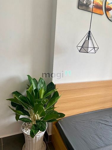 Hình ảnh Căn Hộ Studio Full Nội Thất Cửa Sổ Lớn Ngay Sân Bay - Công Viên HVT