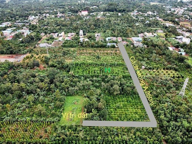 Hình ảnh Mình chính chủ cần bán đất Ea Tu, 100m2, full thổ cư, SHR, giá tốt