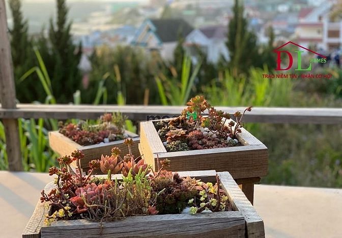 Hình ảnh Bán đất lớn Mai Hắc Đế phường 6 Đà Lạt mặt tiền rộng view đẹp - MN3506
