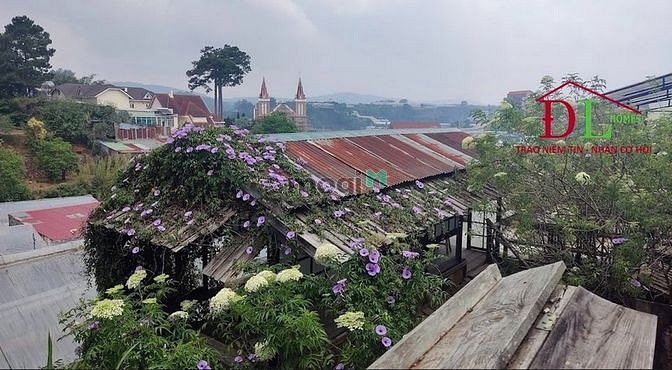 Hình ảnh Bán đất lớn Mai Hắc Đế phường 6 Đà Lạt mặt tiền rộng view đẹp - MN3506