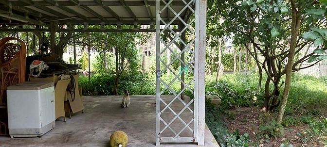 Hình ảnh Bán đất Củ chi đường 437 gần UBND xã Phú Hoà Đông, 10tỷ - 1653m2