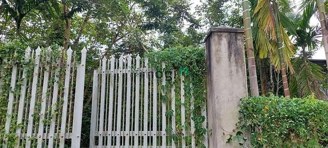 Hình ảnh Bán đất Củ chi đường 437 gần UBND xã Phú Hoà Đông, 10tỷ - 1653m2