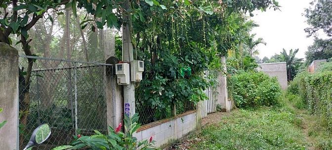 Hình ảnh Bán đất Củ chi đường 437 gần UBND xã Phú Hoà Đông, 10tỷ - 1653m2