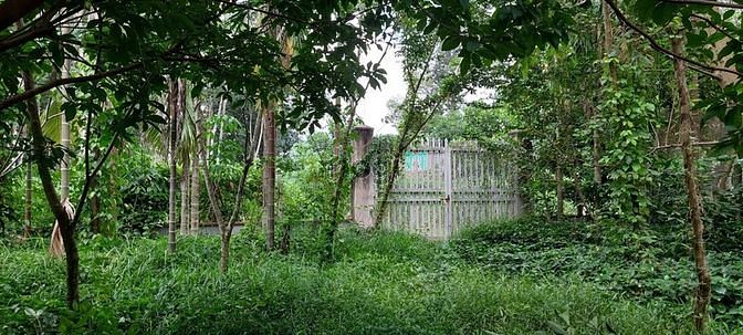 Hình ảnh Bán đất Củ chi đường 437 gần UBND xã Phú Hoà Đông, 10tỷ - 1653m2