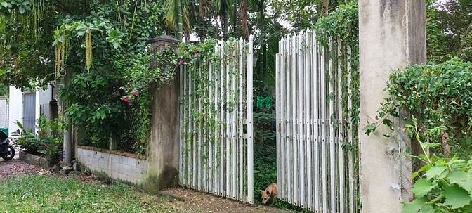 Hình ảnh Bán đất Củ chi đường 437 gần UBND xã Phú Hoà Đông, 10tỷ - 1653m2