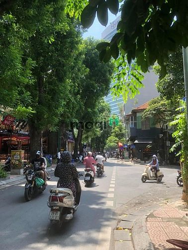Hình ảnh Cho thuê nhà mặt phố Phó Đức Chính