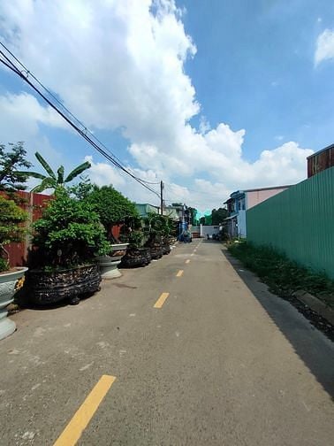Hình ảnh Bán gấp đất mặt tiền thới tam thôn hóc môn32m x 46m chỉ 33 tỷ