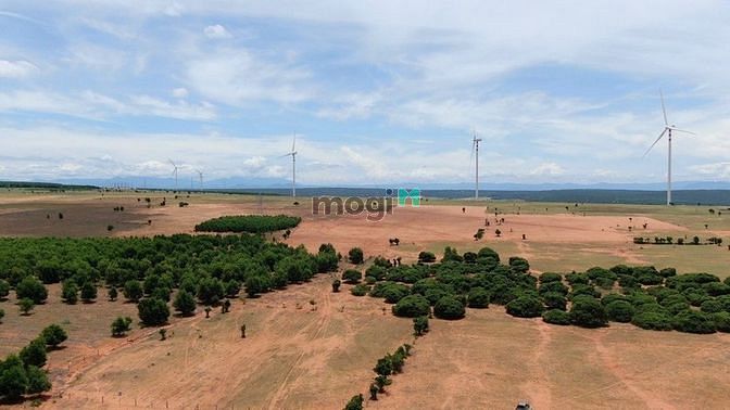 Hình ảnh Cần ra gấp lô đất view biển xã Hòa Thắng 3778m2, view Apec, QH đất ở