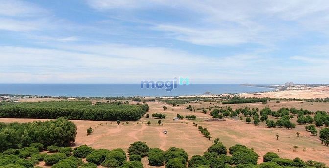 Hình ảnh Cần ra gấp lô đất view biển xã Hòa Thắng 3778m2, view Apec, QH đất ở