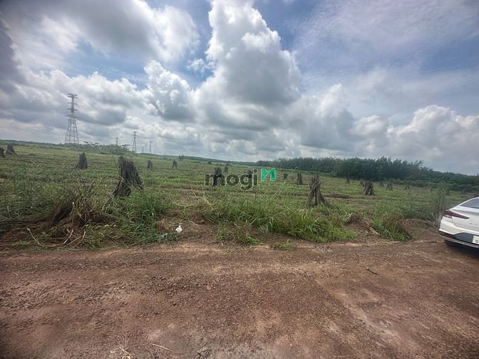 Hình ảnh Chính chủ cần bán lô đất 500m2, sổ sẵn Chơn Thành - BP