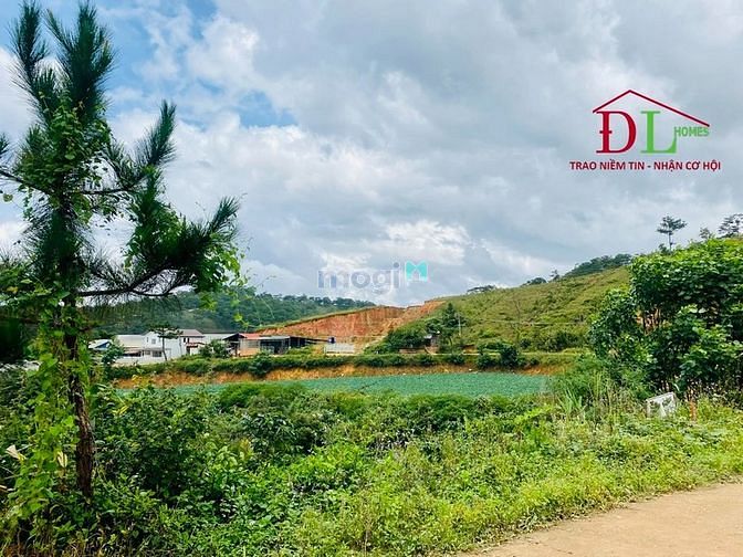 Hình ảnh Bán đất 2 mặt tiền KQH Măng Lin P7 Đà Lạt vuông vức view đẹp - MN3477