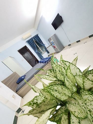 Hình ảnh Cho thuê studio cạnh Etown, đầy đủ đồ, có cửa sổ lớn, quận Tân Bình