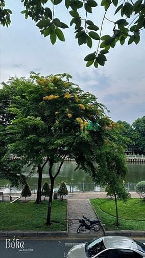 Hình ảnh Penthouse, Mb6623 nạp rút nhanh chóng cao cấp balcony view cây xanh siêu xinh ngay HS-TS