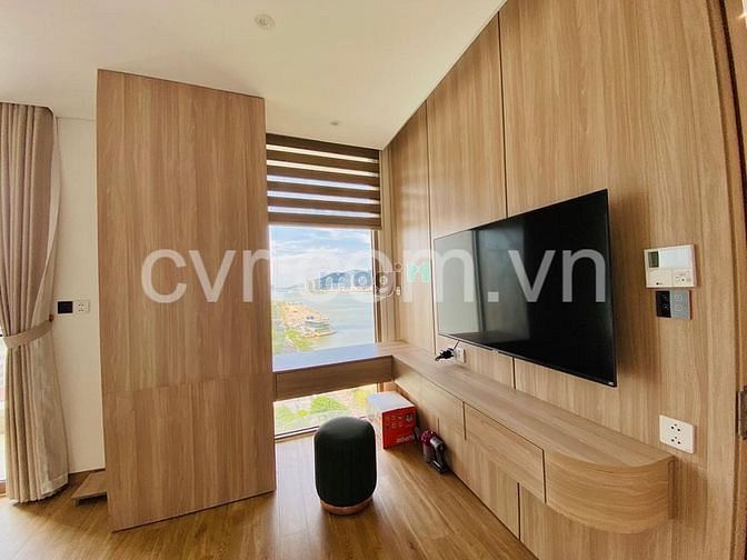 Hình ảnh Cho Thuê Căn Hộ 1 Phòng Ngủ View sông Hàn tại Bạch Đằng Complex
