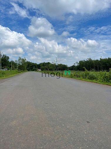 Hình ảnh Kẹt tiền bán 2 lô tx. Chơn Thành giá rẻ 220tr