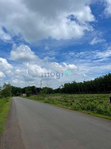 Hình ảnh Kẹt tiền bán 2 lô tx. Chơn Thành giá rẻ 220tr