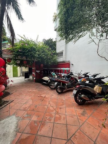 Hình ảnh Cho thuê biệt thự khu Phan Xích Long, Phường 7, Phú Nhuận