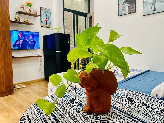 Hình ảnh 🌈Cho thuê CHDV FULL NỘI THẤT dạng Studio Bancol đường Lê Quang Định