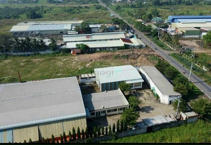 Hình ảnh Xưởng mặt tiền võ văn bích bình mỹ củ chi 10.000m2 ful tc chỉ 95 tỷ