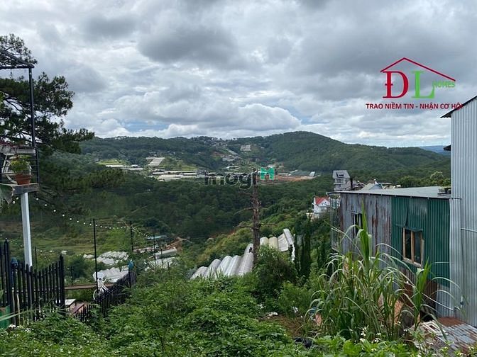 Hình ảnh Bán đất Hoàng Hoa Thám Phường 10 Đà Lạt thích hợp nghĩ dưỡng - MN3440
