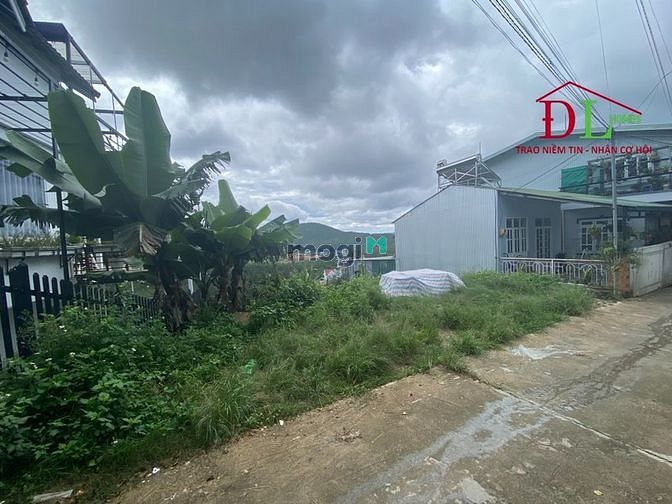 Hình ảnh Bán đất Hoàng Hoa Thám Phường 10 Đà Lạt thích hợp nghĩ dưỡng - MN3440