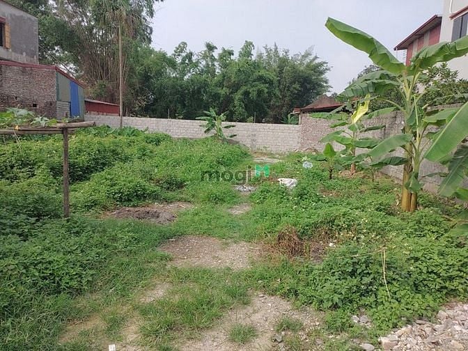 Hình ảnh Đất hoa đường, trường thịnh, ứng hòa, 178m2, 2.5 tỷ