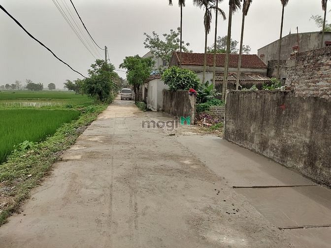 Hình ảnh Đất hoa đường, trường thịnh, ứng hòa, 178m2, 2.5 tỷ
