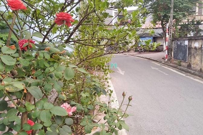 Hình ảnh Bán đất -Thạch Bàn-Long Biên.3 thoáng. Dt 32 mt 3,8m Giá 2,15 tỷ