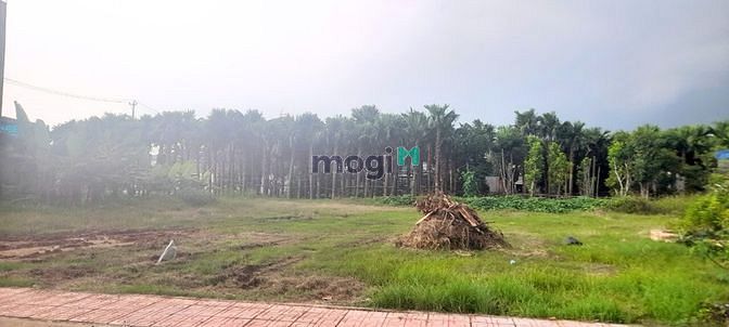 Hình ảnh Bán Đất Đẹp 1.009M2 Full Thổ Đường Nhựa Container Đẹp Tân Hiệp Hóc Môn
