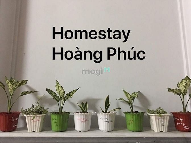 Hình ảnh Ở ghép máy lạnh, tắm nước nóng: 350 Huỳnh tấn phát