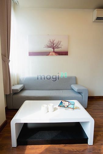 Hình ảnh Cho Thuê Căn Hộ Cao Cấp Full Nội Thất Bancol Chill Đón Ánh Sáng Q1