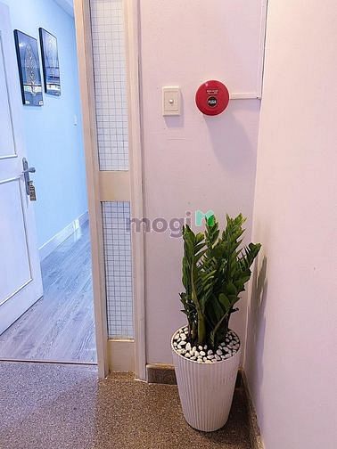 Hình ảnh 1PN+ Studio Ban công Full nội thất Trung tâm Q1 Đề Thám + Bùi Viện