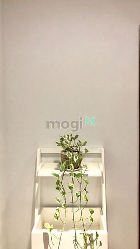 Hình ảnh ✅cho thuê Trang Chủ MB66.COM / Đăng Ký Tặng 66K 1PN, siêu rộng, hầm xe, thang máy gần CV Lê Văn Tám