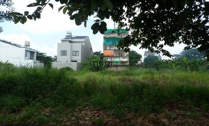 Hình ảnh Đang cần cho thuê lô đất 200m2 12tr/th Đường số 9, Quận 9-TP.Thủ Đức