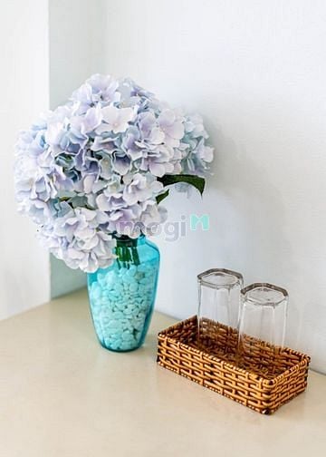 Hình ảnh ✅ Trang Chủ MB66.COM / Đăng Ký Tặng 66K cao cấp, thang máy, free dọn phòng, gần chợ ngã 6 Phù Đổng