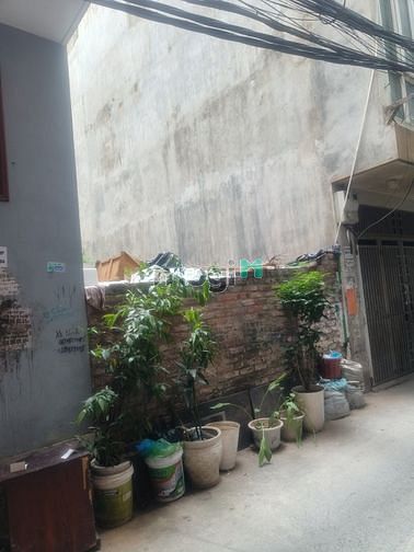 Hình ảnh Cực hiếm Cầu Giấy - ngõ ba gác tránh nhau - 42m2 - 3 tỷ