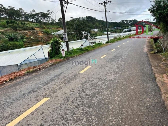 Hình ảnh Bán đất mặt tiền đường Đa Phú P7 Đà Lạt thích hợp nghỉ dưỡng - MN3599