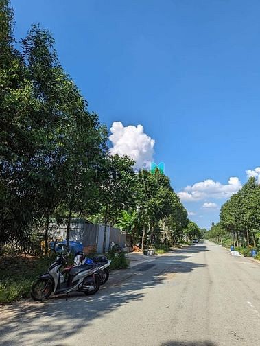 Hình ảnh Đất Mỹ Phước, Thới Hòa Bến Cát Bình Dương