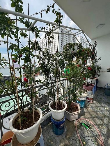 Hình ảnh Nhà sát Co.opmart Phan Văn Hớn, 3 tầng mới keng, hẻm xe tải, 6,3 tỷ