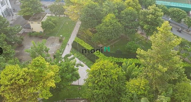 Hình ảnh Bán hoặc cho thuê C.Cư Phú Thọ Quận 11 , sổ hồng riêng , 65m2