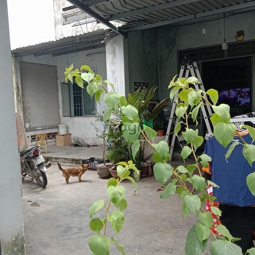 Hình ảnh PD25 Bán đất tặng nhà hẻm 3m thôn PHước Điền xã Phước Đồng