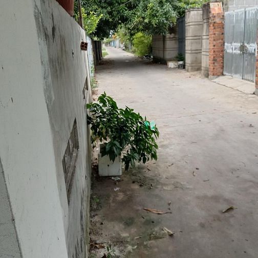 Hình ảnh PD25 Bán đất tặng nhà hẻm 3m thôn PHước Điền xã Phước Đồng