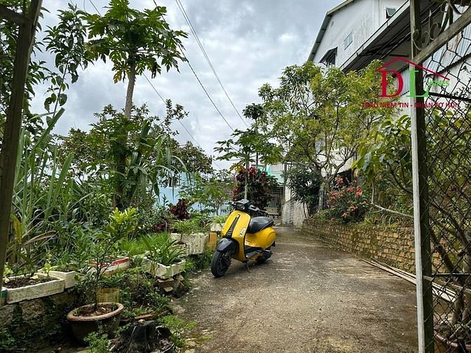 Hình ảnh Bán đất view đẹp không che chắn Đặng Thái Thân Phường 3 Đà Lạt MN3576