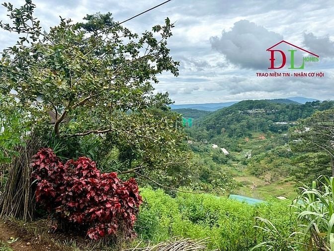 Hình ảnh Bán đất view đẹp không che chắn Đặng Thái Thân Phường 3 Đà Lạt MN3576