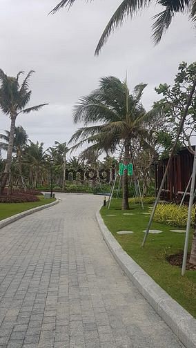 Hình ảnh Bán 120m2 đất dự án paragrus hướng đb trục 20m giá chỉ 19tr/m