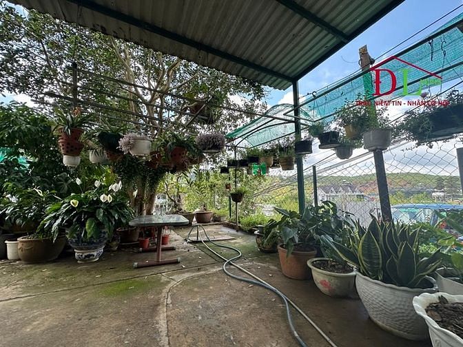 Hình ảnh Bán đất 2 mặt tiền hẻm An Bình P3 Đà Lạt tặng nhà view đẹp - MN3271